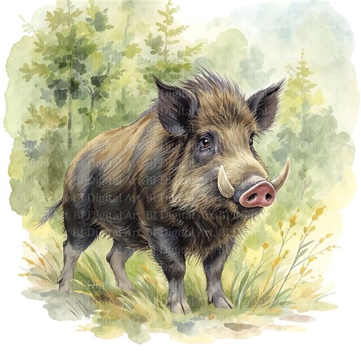 Wild Boar Clipart Set – 12 Watercolor Wild Boar Illustrations, Forest & Meadow Scenes, JPG Images, Digital Download - Etsy