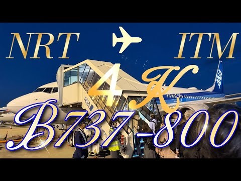 成田(NRT)〜伊丹(ITM)まで✈️B737-800(JA83AN)✈️ ♯929