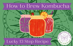 Kombucha Recipe