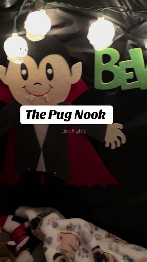 Happy Halloween. #pugs #halloween #thepugnook #home #dogsoftiktok