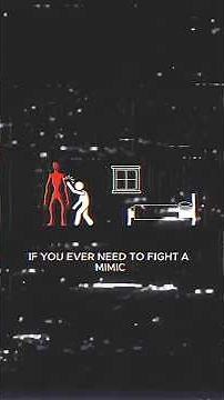 If You Need To Fight A Mimic | Analog Horror
