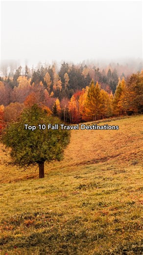 3.3K views · 150 reactions | Pumpkin spice, sweater weather, AND a Priceline Express Deal..  | priceline | Facebook