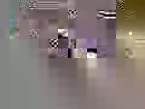 92K views · 659 reactions | Growing the Next World Record Alligator Gar!  | The Fish Whisperer | Facebook