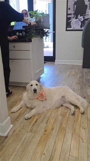 Our VIP Program is open for its final December debut — and it’s all about elevating your experience. Choose any custom amount over $600 and we’ll add an extra 25% in value to your balance. Next year, VIP returns to June only. Secure your luxury now while it’s still here. 🤍 #ROPSalons #vip #special | Robert of Philadelphia Salons