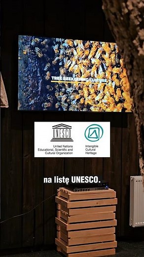 Co zobaczyć po drodze na Litwę? Miejsce, które warto odwiedzić w Augustowie!