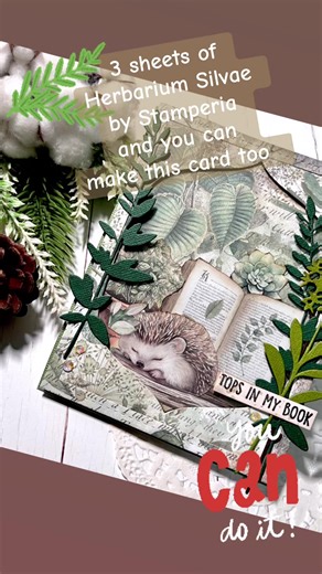 Showcasing Stamperia - Herbarium Silvae - with 3 sheets of pattern paper , a diecut frame and diecuts we made a window card. You can too! 🪴#classactscrapbooking #cardmaking #classactinc #stamperia #spellbinders