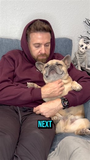 My roommate’s hygiene habits are criminal 🚨 Luckily, I found the fix, Dental Fresh keeps his breath fresh so I can actually survive our “cohabitation” Check the 🔗 in our B!0 for the most effective and simple fresh breath solution #whiffaboutchallenge #Dogsofinstagram #PetParentLife #freshbreath #dentalfresh #furryroomates #ad | somefrenchienamedapollo