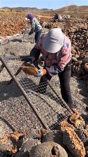 Interesting Work #shorts #machine