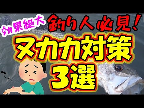 【シーバス】釣り人必見！ヌカカ（スケベ虫）対策グッズ３選を紹介！これでヌカカ被害ゼロ！？