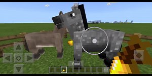 Horse And Donkey Breeding A Mule#Horse #donkey #breeding #Mule #minecraft