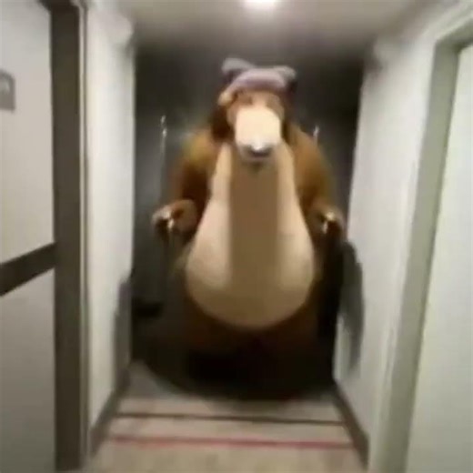 Top 5 Masha and the bear #funny #lol #bear #masha