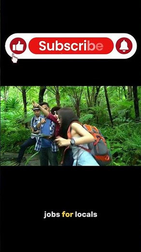 The Amazon's Sustainable Future: Ecotourism 🌿🌍