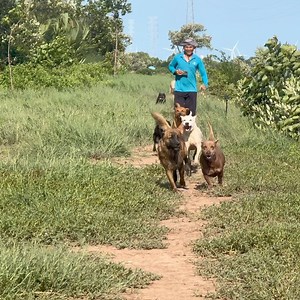 468K views · 11K reactions | Cuộc Thi Đua chạy marathon của bầy báo | Tâm Chó Cỏ | Facebook