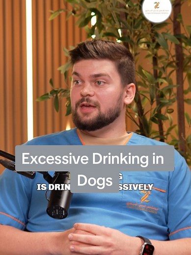 Excessive Drinking in Dogs: Health Implications Explained
