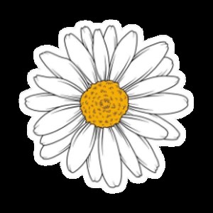 pollipolli1 - Twitch