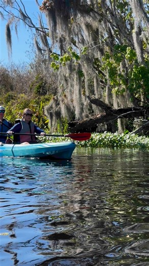 Book your springtime adventure on the wild and scenic or Wekiva River  https://adventuresinflorida.com/day-trips/wekiva-river-kayak/ | Adventures in Florida | Facebook