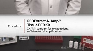 REDExtract-N-Amp™ Tissue PCR Kit