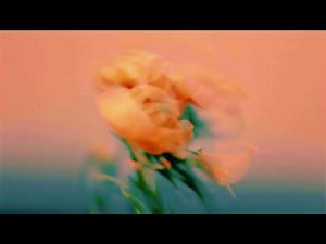 John Hayes - For Now (Official Visualizer)