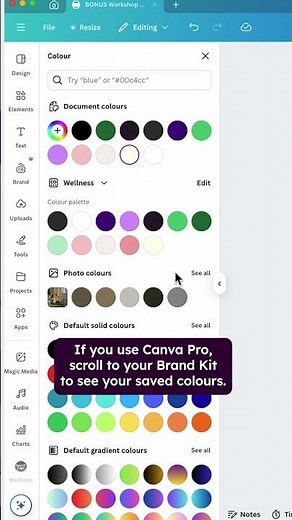 How to Change Canva Colors in One Click