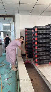 This girl from China has kept insects in her house 😱 . . #shortsvideo #shorts #youtubeshorts #fact #china #chinagirl #insectlife #weirdfacts #bizarrestory #reelsecrets #viralreels #curiositycontent #strangehobbies #nkshorts47 #instagramreels #instsdaily #trendingreels #trendingsong #viralvideos #viral #fbreelsviral #fbreelsvideo #tiktok #foryoupage #reelitfeelit #explore | Films Viral