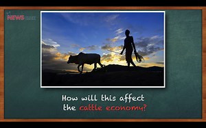 4.7K views · 37 reactions | Watch: Why Banning Slaughter will Kill the Cow Economy This 4 minute video shows how the cow economy works. It exposes the BJP's absurd cow politics that will undermine the dairy industry and farmers livelihoods. | NewsClick.in | Facebook