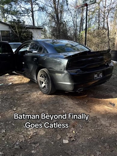 Batman Beyond: Embracing the Catless Journey