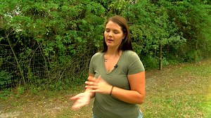 20K views · 175 reactions | NEW AT 11: A heartbroken pet owner is pleading for answers as investigators search for the people who hurt her dog so badly, she had to be put down. Luli Ortiz CBS12 has her warning to other pet owners, tonight at 11. | CBS 12 News | Facebook