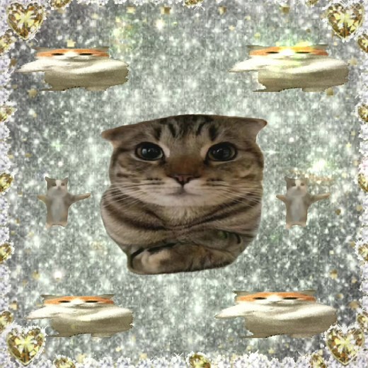 i love the background dancers #sillycat #catcore #catmeme #mecore #catsoftiktok #brainrot #cattok #jollytok #sillycats