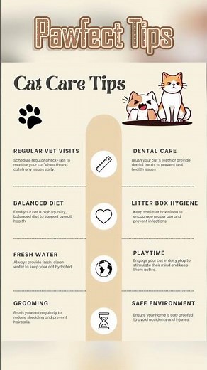 Ultimate Cat Care Tips for Healthy and Happy Cats 🐱❤️