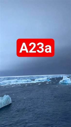 A23a: The World’s Biggest Iceberg ।#shorts #viral #trending #iceberg #worldlargest