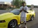 saleen mustang vs 03 mustang Cobra