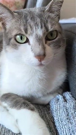 Did you know the 500 euro note is Europe’s least used bil...