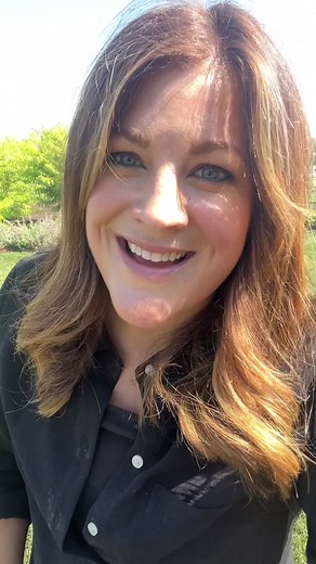 Dark Violet Skullcap update! 💜 | Harvesting From My Garden