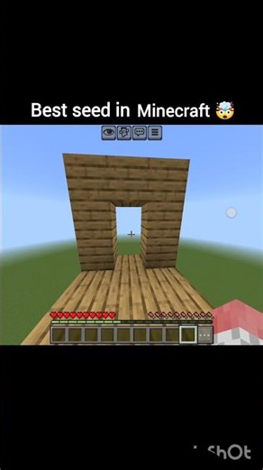 Best seeds in Minecraft 🤯 #shorts