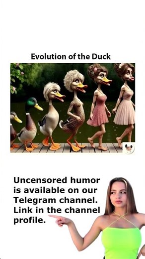 funny evolution of a duck