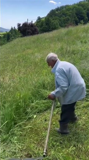 asmr crop cutting video 🤩 🏡 #asmr #cropcutting #youtubeshort