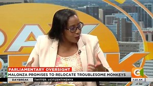 Beatrice Elachi on having CSs appear before Parliament: It is very important #DayBreak Sam Gituku | Citizen TV Kenya