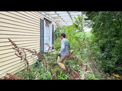 The owner DISAPPEARED and left her home to nature