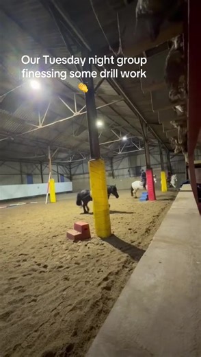 TUESDAY NIGHT GROUP: Here is a small clip of some fun in our Tuesday night group lesson. Aren’t they amazing to be so in sync..! Call now to enquire about our group lessons- 01889 589 132 The Company of Horsemen. #thecompanyofhorsemen #grouplesson #ponies
