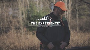 32K views · 345 reactions | Watch this inspiring bird hunting film from Project Upland, featuring the "Grouse Woods" of New Hampshire. #ProjectUpland [www.rediscovertheoutdoors.com] | Project Upland Magazine | Facebook