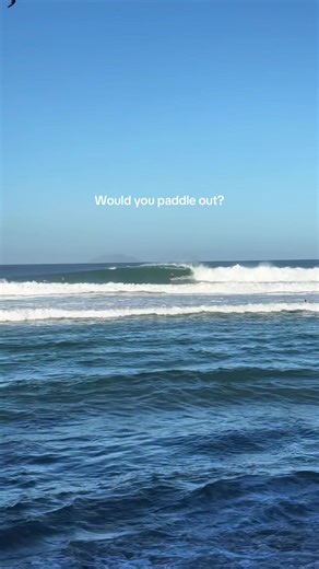 Explore the Thrills of Surfing Life