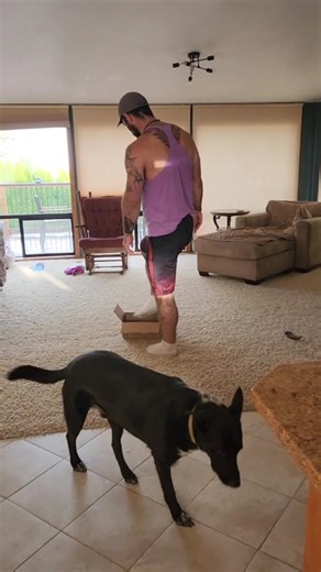 A sasquatch is run on cat software #box #mybox #cat? | Zander Gains