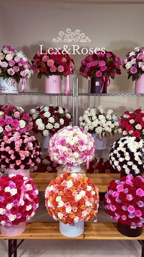 Love through Roses 🌹❤️ Local Service in Miami, Broward, West Palm, St. Petersburg, Clearwater and Tampa Bay. Call/Text 786.310.3450 Lex&Roses will deliver a dream Bouquet ✨ Why Choose Lex&Roses ? Freshest Roses: Sourced from the world's best, ensuring vibrant blooms. Inquiry Now Call or Text 786.310.3450 We offer a large variety of unique roses and blooms, hand-selected and always fresh 🌹 Same-Day Delivery ⤵️ 📍Tampa Bay 📍 Miami 📍Fort Lauderdale 📍West Palm Beach | Lex&Roses