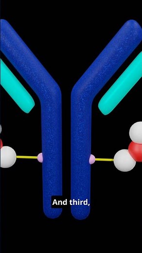 How Do Antibody-Drug Conjugates (ADCs) Work? #science
