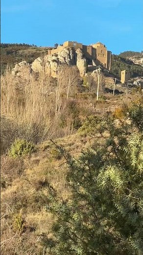 🏰Castillo de Loarre rodeado de almendros en flor | Primavera en Huesca🌸