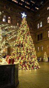 My favorite Christmas Trees this year. These are my favorites, the Lotte Hotel, the New York Stock Exchange tree and the 1221 Avenue of the Americas Tree. 😃❄️🎄 . . . . . #newyork #lottepalacenewyork #christmasdecor #made_in_ny #newyorknewyork #christmastree #reelsinsta #thebigapple #holidayseason #nyphotographer | Pictures of New York