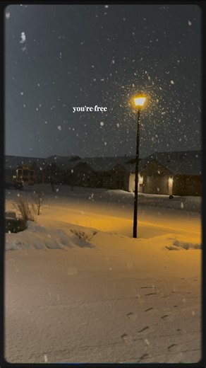 Vipin Goel on Instagram: "#WinterWisdom #SnowMood #ColdButStrong #FrozenMoments #naturelovers"