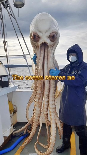 Strange Ocean Discovery: Uncovering Deep Sea Mysteries