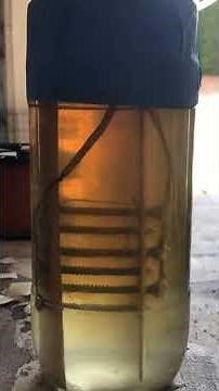 DIY Hydrogen Fuel Cell