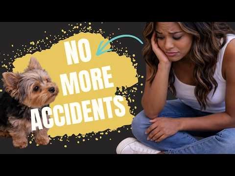 How to Potty Train a Puppy FAST ( And Decrease Accidents )